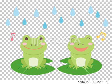 青蛙騎在雨和樹葉上的插圖 114555046