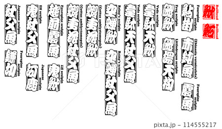 鰍 かじか ラベル シール 英語 1 114555217