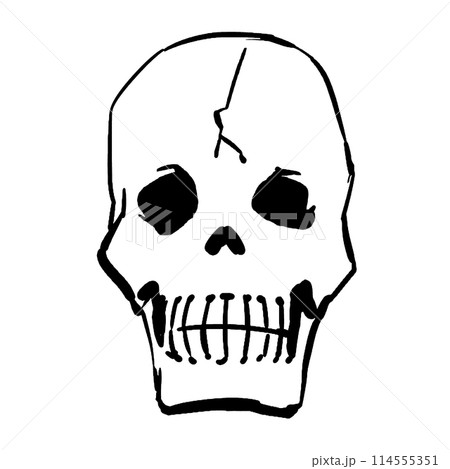 ひびの入った頭蓋骨のイラスト 114555351