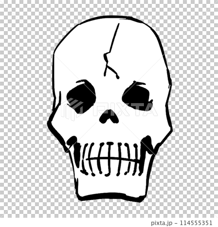 ひびの入った頭蓋骨のイラスト 114555351