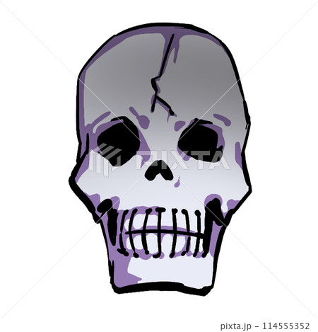 ひびの入った頭蓋骨のイラスト 114555352