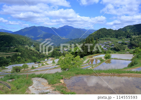 吉延の棚田　水張りの季節　（高知県　本山町） 114555593