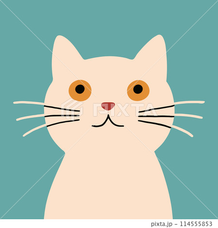 Freaky comic white cat on turquoise background. Hand drawn naive kitten. Freaky comic white cat on turquoise background. Hand drawn naive kitten. 114555853