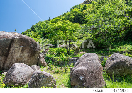 新緑の木津川風景 笠置ボルダー 京都府笠置町 新緑の木津川風景 笠置ボルダー 京都府笠置町 114555920
