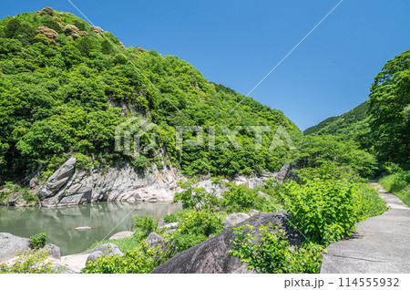 新緑の木津川風景　笠置ボルダー　京都府笠置町 114555932