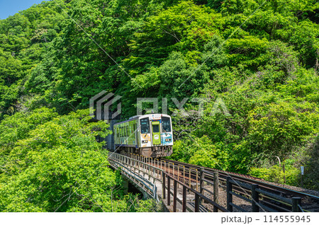 関西線を走るラッピング車　京都府笠置町 114555945