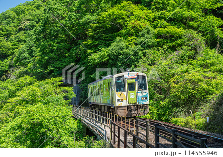 関西線を走るラッピング車　京都府笠置町 114555946