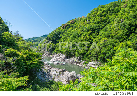 新緑の木津川風景　京都府笠置町 114555961
