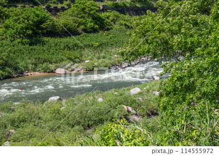 木津川の急流　京都府笠置町 114555972