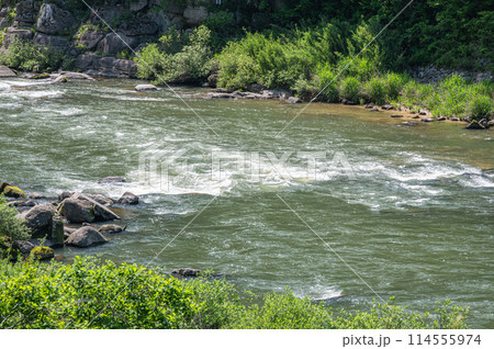 木津川の急流　京都府笠置町 114555974
