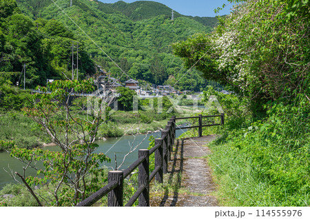 木津川沿いの遊歩道 銀の帯ハイキングコース 京都府笠置町 木津川沿いの遊歩道 銀の帯ハイキングコース 京都府笠置町 114555976