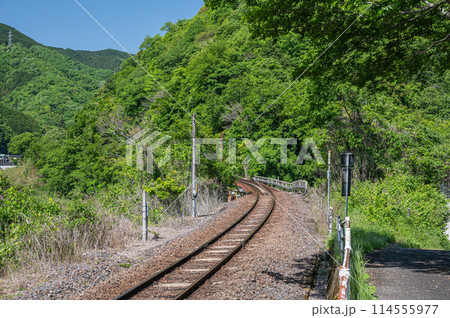 木津川沿いに伸びるローカル線　関西線　京都府笠置町 114555977