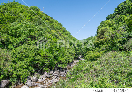 京都府笠置町の甌穴のある清流 布目川 京都府笠置町の甌穴のある清流 布目川 114555984