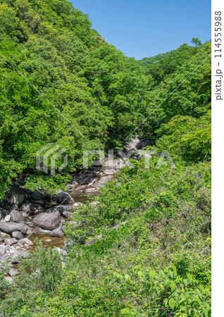 京都府笠置町の甌穴のある清流 布目川 京都府笠置町の甌穴のある清流 布目川 114555988