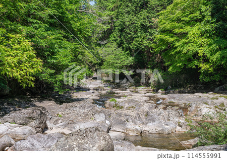京都府笠置町の甌穴のある清流　布目川 114555991