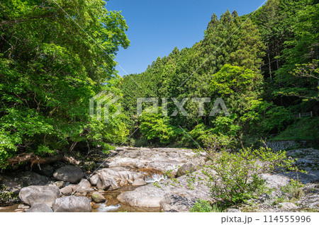 京都府笠置町の甌穴のある清流　布目川 114555996