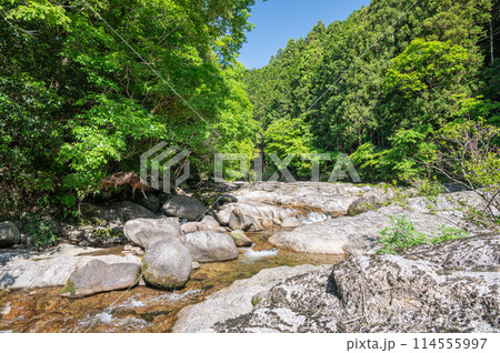 京都府笠置町の甌穴のある清流 布目川 京都府笠置町の甌穴のある清流 布目川 114555997