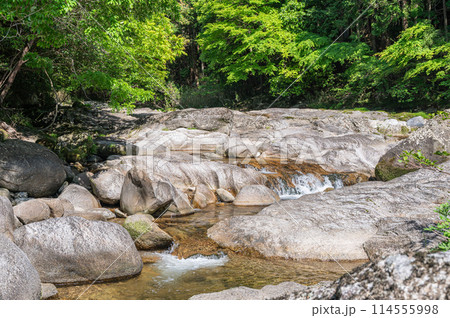 京都府笠置町の甌穴のある清流　布目川 114555998
