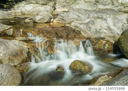 京都府笠置町の甌穴のある清流　布目川 114555999