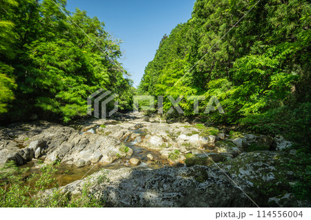 京都府笠置町の甌穴のある清流　布目川 114556004