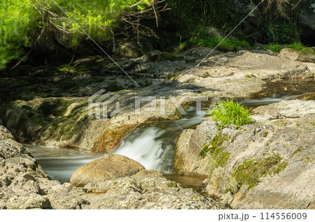 京都府笠置町の甌穴のある清流　布目川 114556009