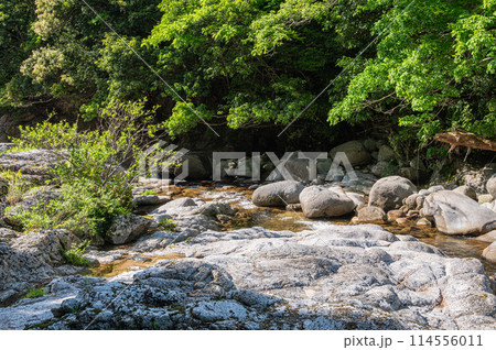 京都府笠置町の甌穴のある清流　布目川 114556011