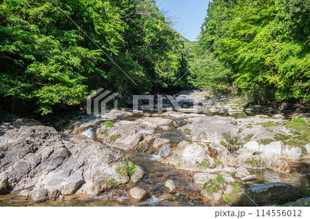 京都府笠置町の甌穴のある清流　布目川 114556012