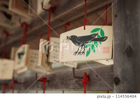 横浜市にある師岡熊野神社 114556404