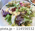 ヘルシーなサラダ盛り合わせ 114556532