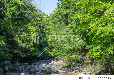 京都府笠置町の甌穴のある清流　布目川 114556645
