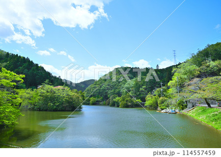 鎌北湖　新緑の湖畔　春の風景　　　　 114557459