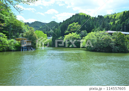 鎌北湖　新緑の湖畔　春の風景　　　　 114557605