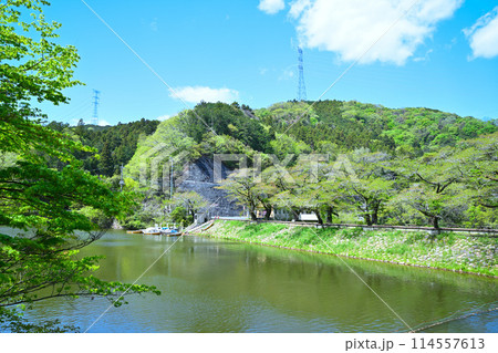 鎌北湖 新緑の湖畔 春の風景 鎌北湖 新緑の湖畔 春の風景 114557613