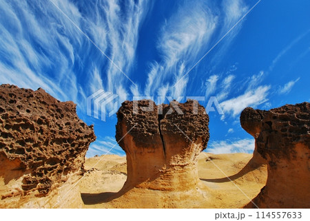 台湾 野柳地質公園 114557633