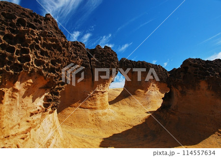 台湾 野柳地質公園 114557634