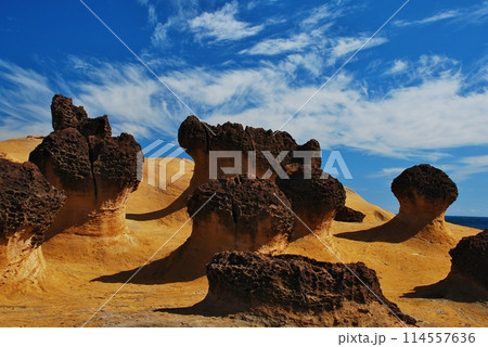 台湾 野柳地質公園 台湾 野柳地質公園 114557636