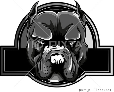 monochrome head pit bull logo icon designs vector illustration monochrome head pit bull logo icon designs vector illustration 114557724