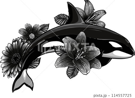 Monochrome killer whale with flower vector illustration Monochrome killer whale with flower vector illustration 114557725