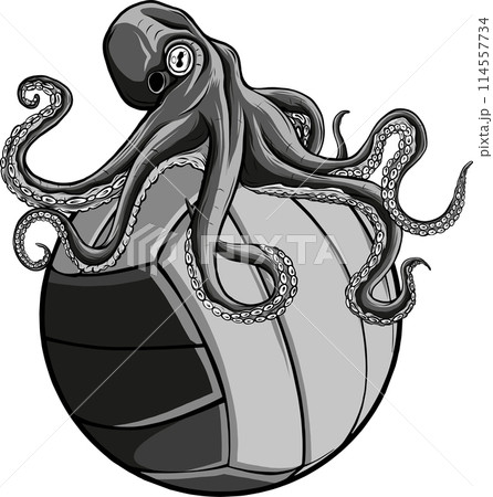 vector illustration of Monochrome octopus on volleyball ball on white background vector illustration of Monochrome octopus on volleyball ball on white background 114557734