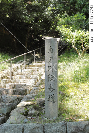 京都　一条天皇皇后定子鳥戸野陵参道 114557743