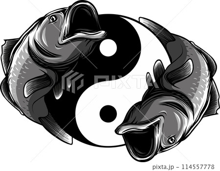 Ying yang symbol with fish. Hand drawn outline Koi fish vector illustration Ying yang symbol with fish. Hand drawn outline Koi fish vector illustration 114557778