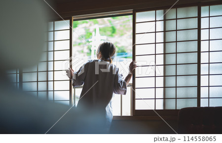 和室の女性 114558065