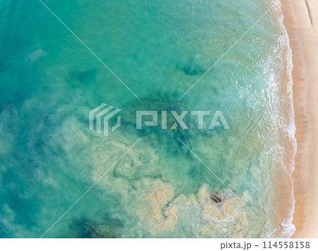 Top view beach sea space area nature and travel background in summer season Top view beach sea space area nature and travel background in summer season 114558158