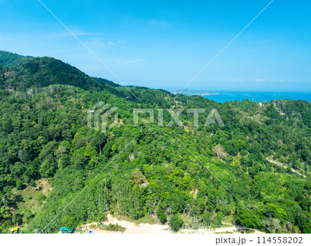 Aerial view Drone camera top view rainforest trees ecology with healthy environment concept and summer background,Green environment background 114558202