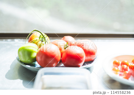 自家栽培のトマト 114558236