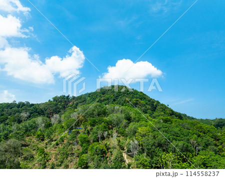 Aerial view Drone camera top view rainforest trees ecology with healthy environment concept and summer background,Green environment background 114558237