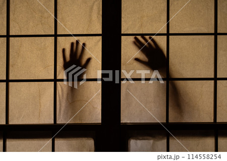 怖い写真 114558254