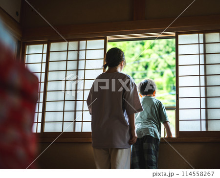 和室の女性 和室の女性 114558267