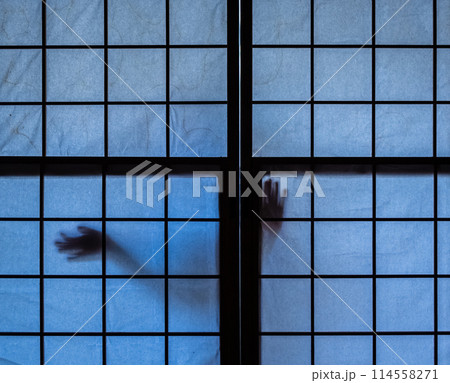 怖い写真 怖い写真 114558271