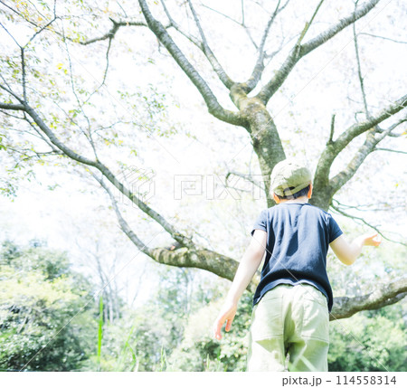 子どものうしろ姿 子どものうしろ姿 114558314